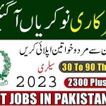 Punjab Social Protection Authority PSPA Lahore Jobs 2023