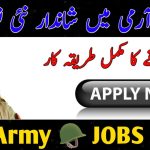 Military Lands & Cantonments MLC Jobs 2023 Online Apply